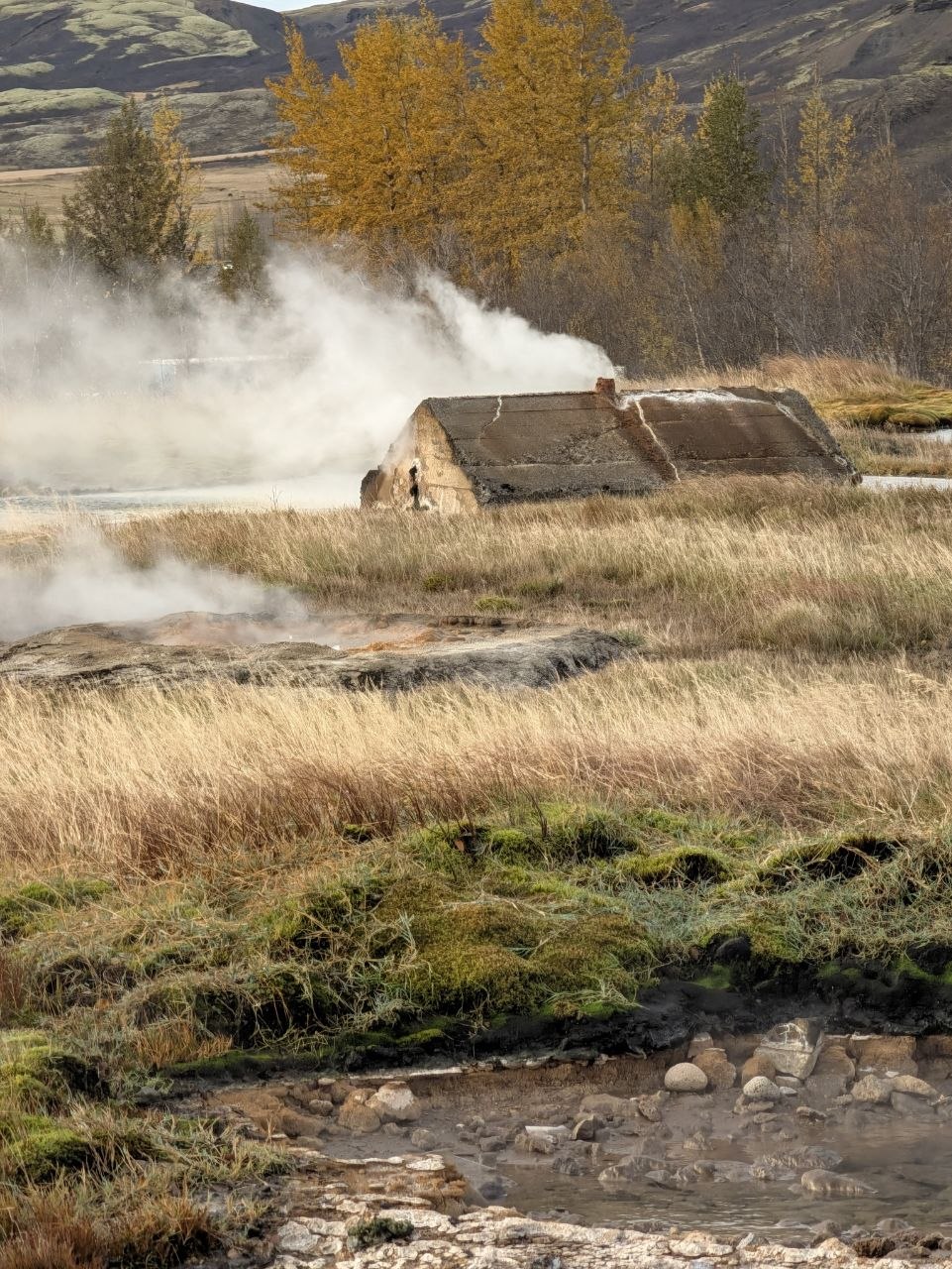 Geysir-Landschaft Island