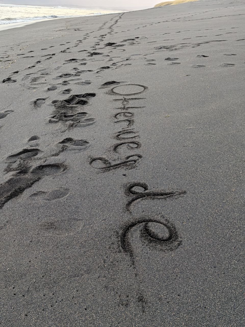 Otterweg.de im Sand