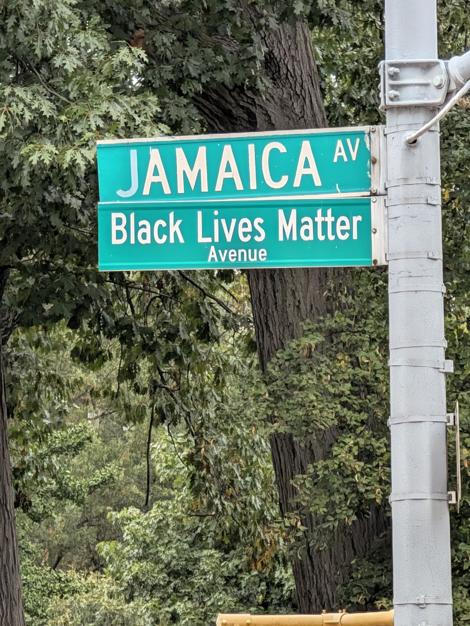 Jamaica Avenue Black Lives Matter