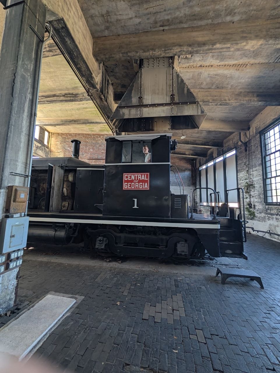 Savannah