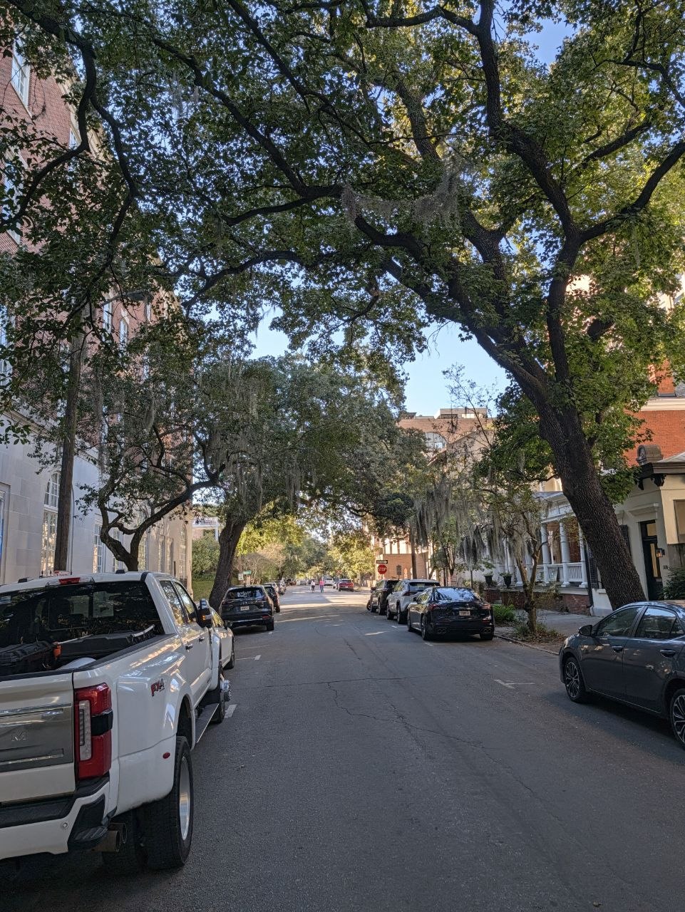 Savannah