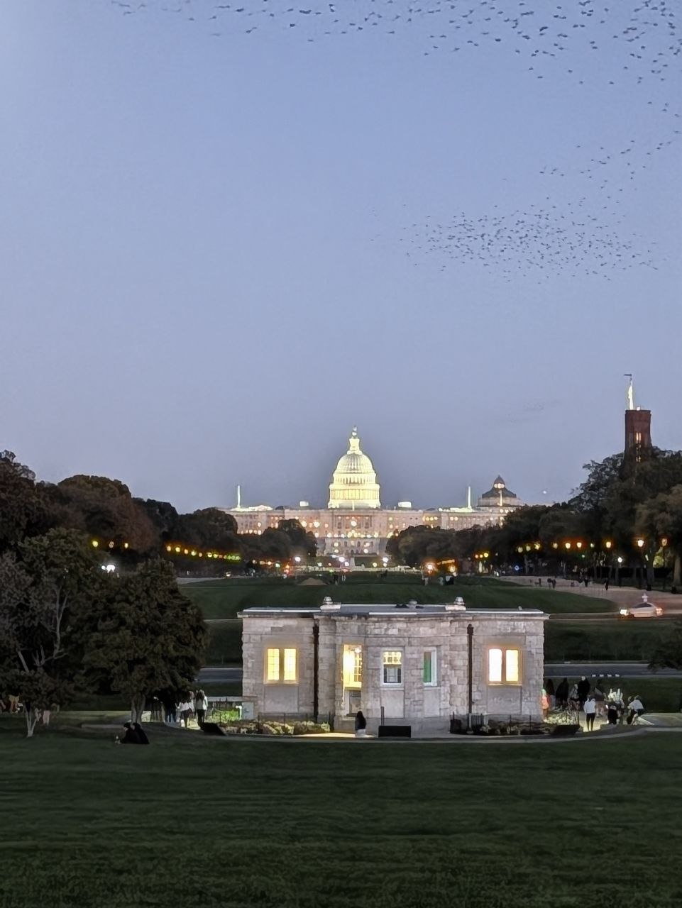 Washington D.C.