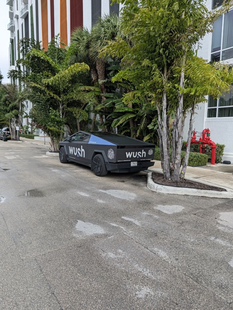 Enten in Wynwood
